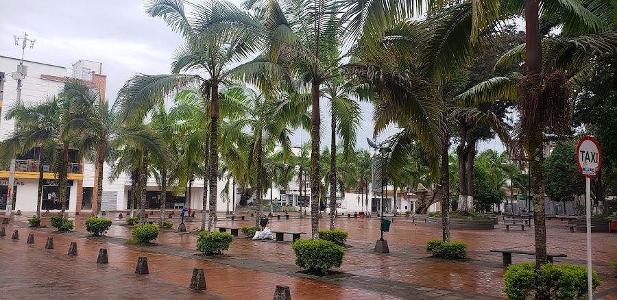 Pitalito — City — Tatacoa Desert and San Agustín — Colombia