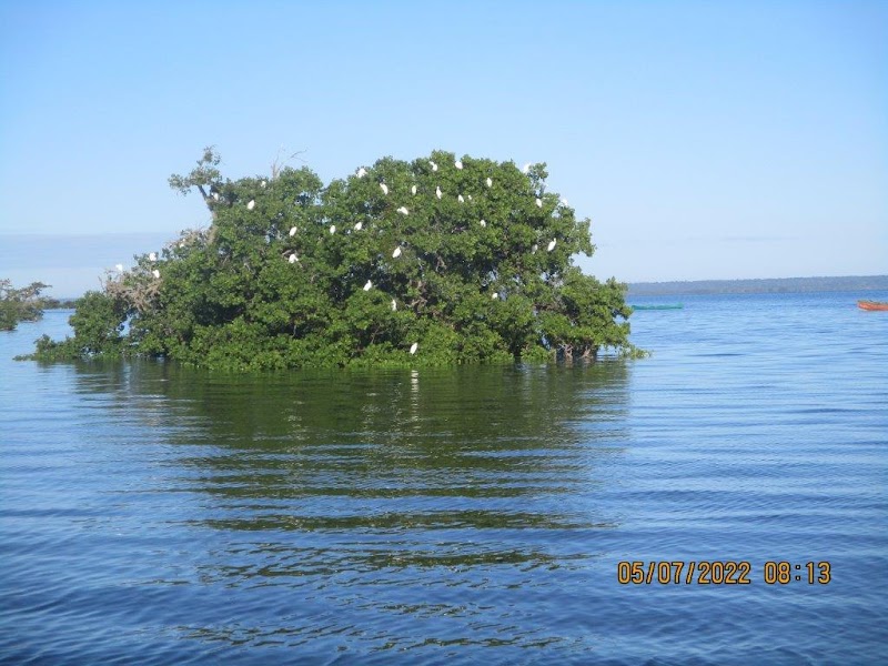 Vilanculos Coastal Wildlife Sanctuary — Nature — Mozambique EN1 Coastal Route — Mozambique