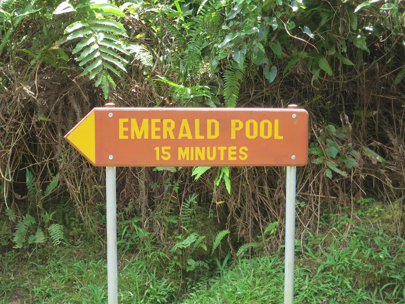 Emerald Pool — Nature — Cross-Island Dominica via Morne Trois Pitons — Dominica