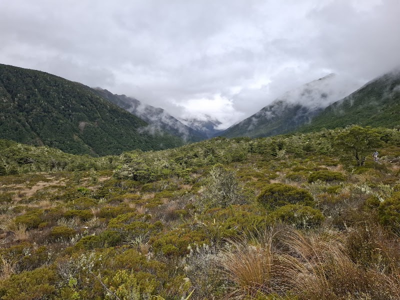 Lewis Pass short nature walk — Forest walk — The Two Passes — New Zealand