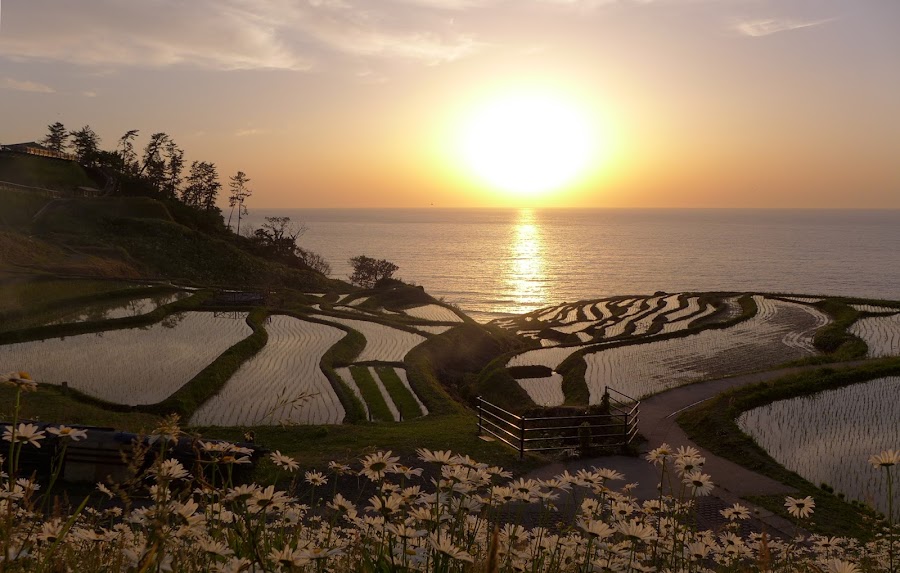 Senmaida Rice Terraces
