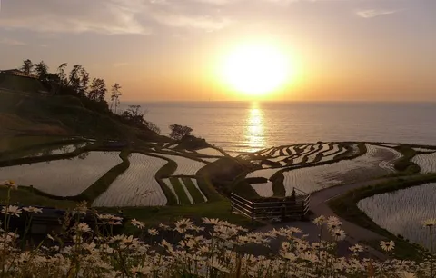 Shiroyone Senmaida — Nature — Noto Peninsula Recovery Loop — Japan