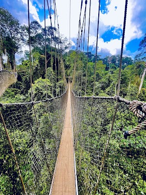 Walk the Kakum Canopy Walkway