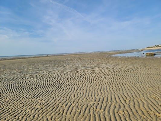 Brewster