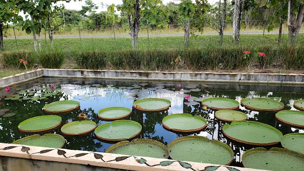 Belize Spice Farm and Botanical Garden tour