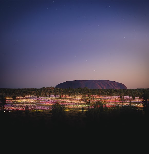 Field of Light — Booked art experience — Uluru & The Red Centre — Australia