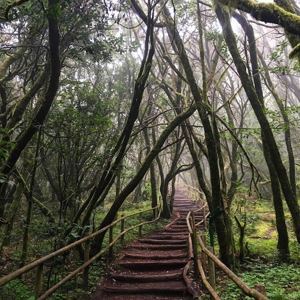 Garajonay National Park