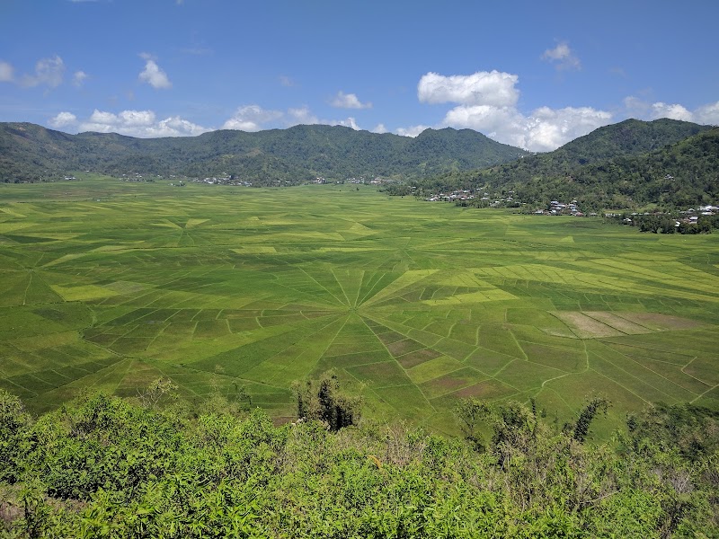 Cancar lingko viewpoint — Cultural landscape — Flores Overland via Wae Rebo — Indonesia