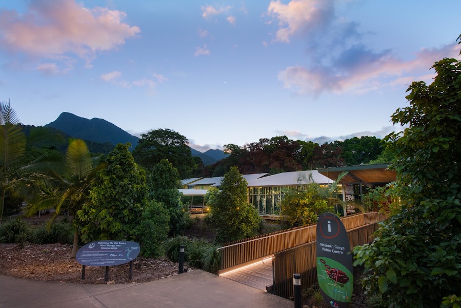 Mossman Gorge guided walk — Rainforest and cultural walk — Captain Cook Highway and Daintree Coast — Australia