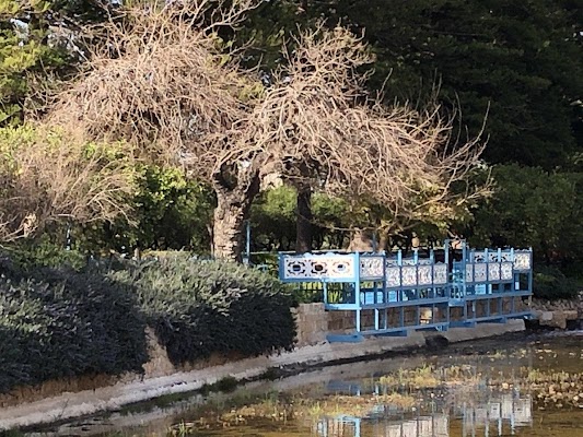 Bahai Gardens