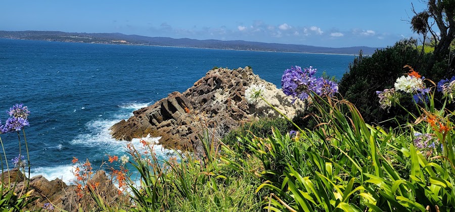 Eden and Merimbula — City — Melbourne to Sydney — Australia