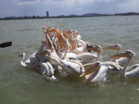 Lake Tana