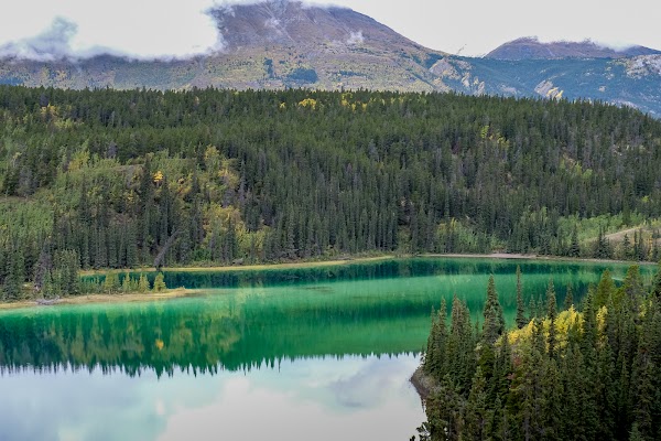 Carcross