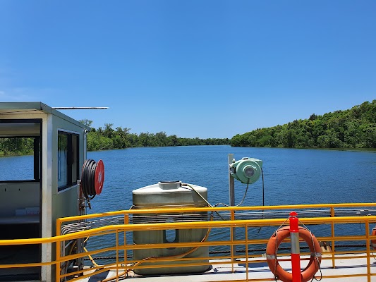 Daintree Ferry Crossing