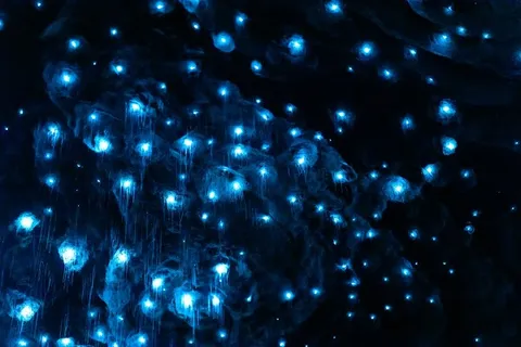 Te Anau Glowworm Caves — Booked cave cruise — Southern Scenic Route — New Zealand