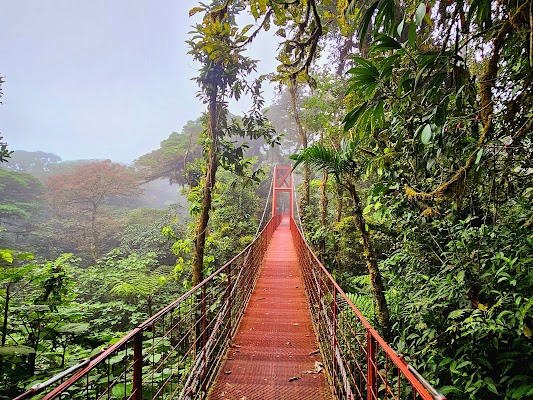 Monteverde Cloud Forest Reserve