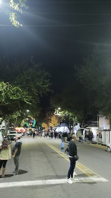 Avenida Sarmiento