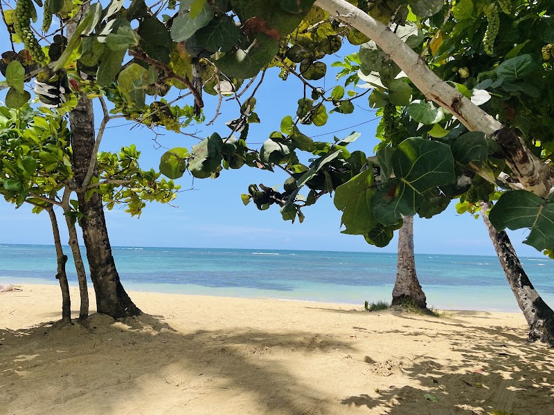 Las Galeras
