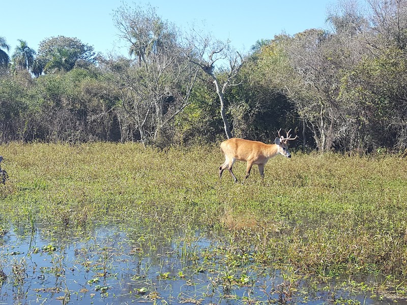 Iberá Provincial Reserve Visitor Center