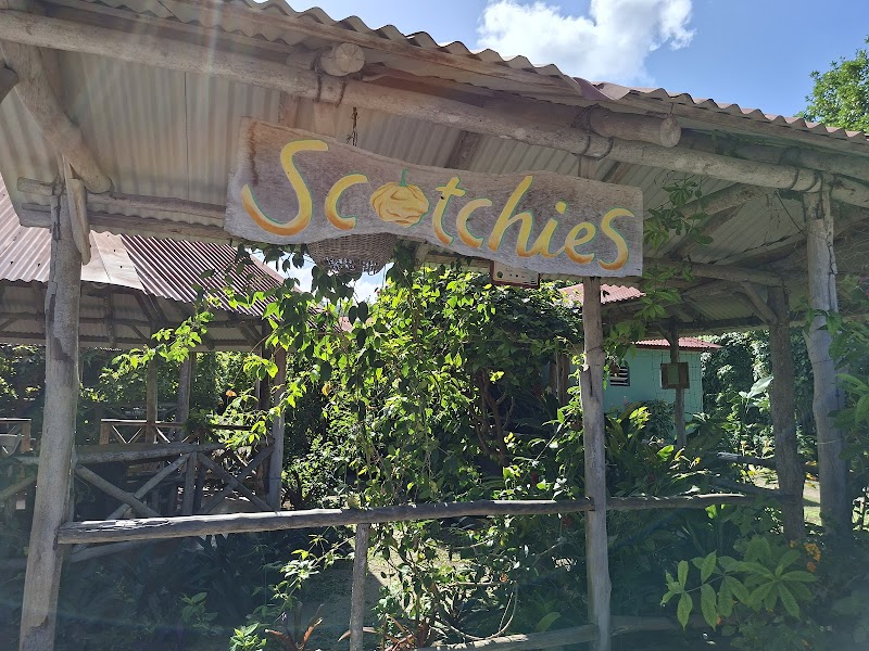 Scotchies Ocho Rios — Jamaican jerk — Blue Mountains and North Coast Jamaica — Jamaica