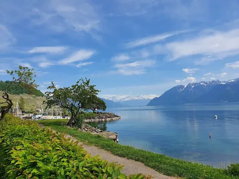 Cully — Food & Drink — Lavaux Vineyards — Switzerland