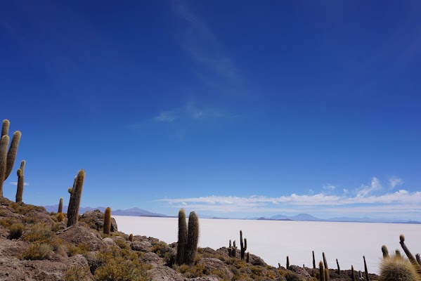 Incahuasi Island