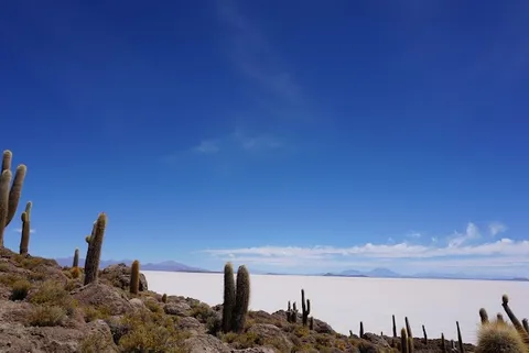 Incahuasi Island — Nature — Salar de Uyuni Circuit — Bolivia