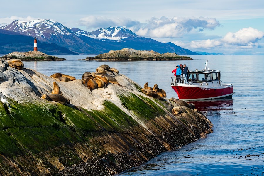 Beagle Channel Boat Tour