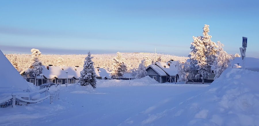 Saariselkä — Nature — Finnish Lapland Arctic Road — Finland