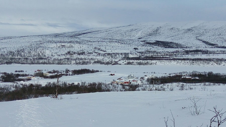Nuorgam — Nature — Finnish Lapland Arctic Road — Finland