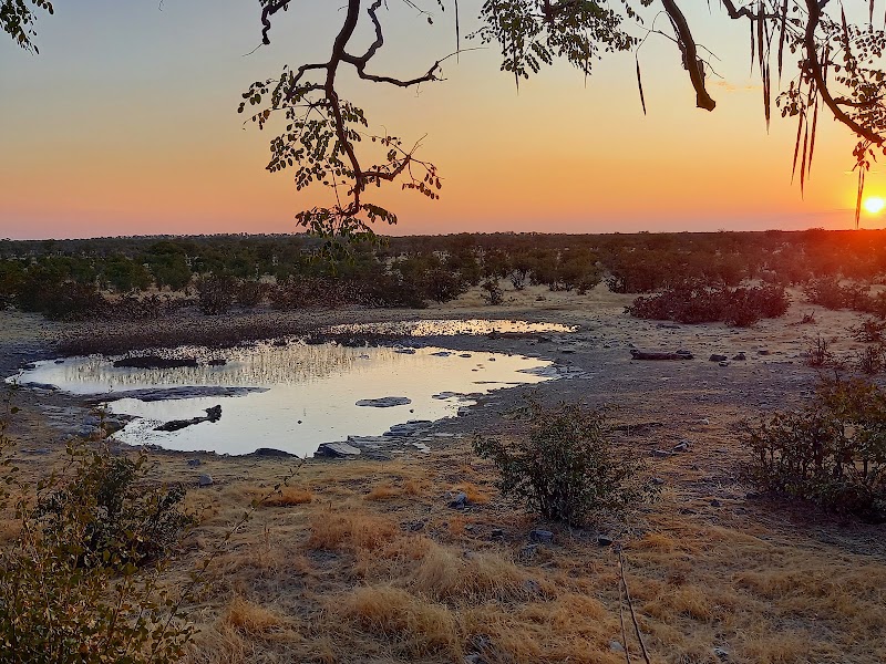 Moringa Waterhole Viewing — Scenic Viewpoint — Etosha Pan Circuit — Namibia