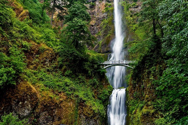 Hike to Multnomah Falls Bridge