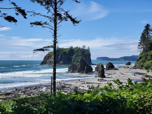 Ruby Beach Tide Pools