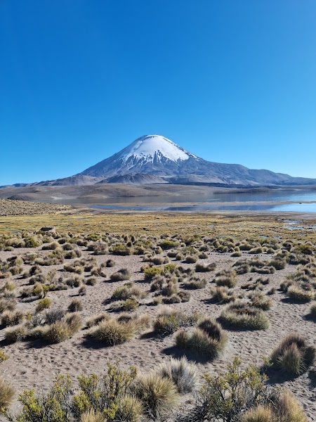 Parinacota Volcano Viewpoint