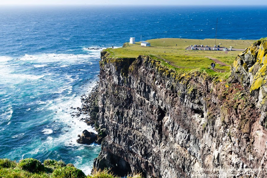 Látrabjarg cliffs — Landmark — Westfjords Ring Road — Iceland