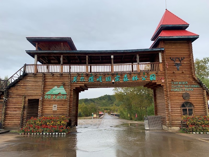 Moerdaoga National Forest Park — Forest — Arxan & Hulunbuir Grassland Loop — China