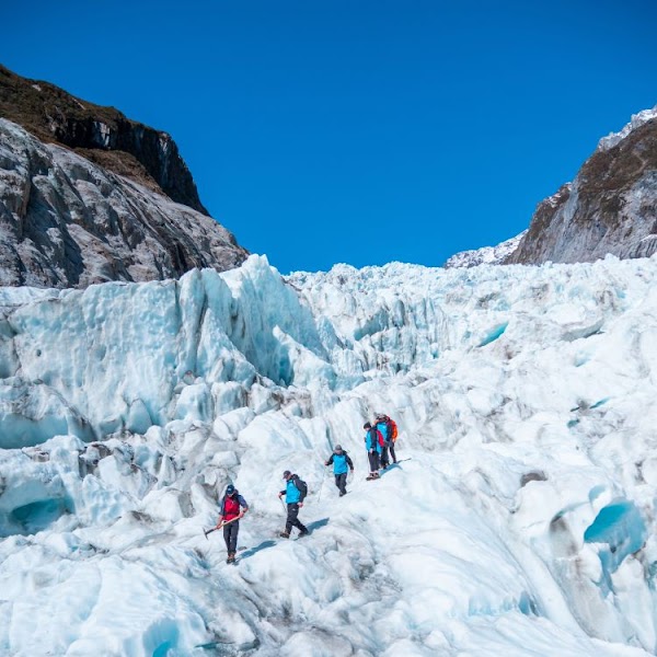 Fox Glacier Guiding