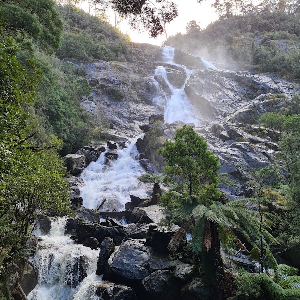 St Columba Falls — Conditional waterfall walk — East Coast Tasmania — Australia