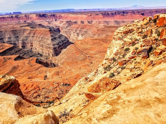 Muley Point Overlook