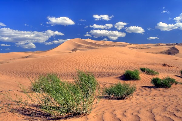 Khongoryn Els Sand Dunes