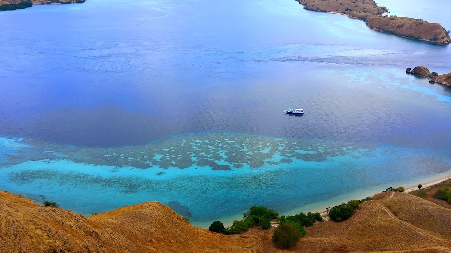 Authorized Komodo boat lunch — Operator-provided — Flores Overland via Wae Rebo — Indonesia