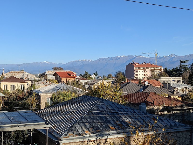 Telavi — City — Kakheti Wine Country — Georgia