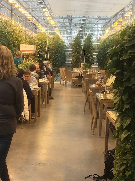 Friðheimar — Greenhouse dining — Ring Road — Iceland