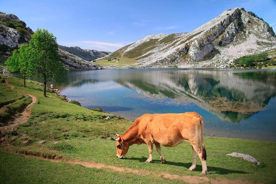 Lakes of Covadonga