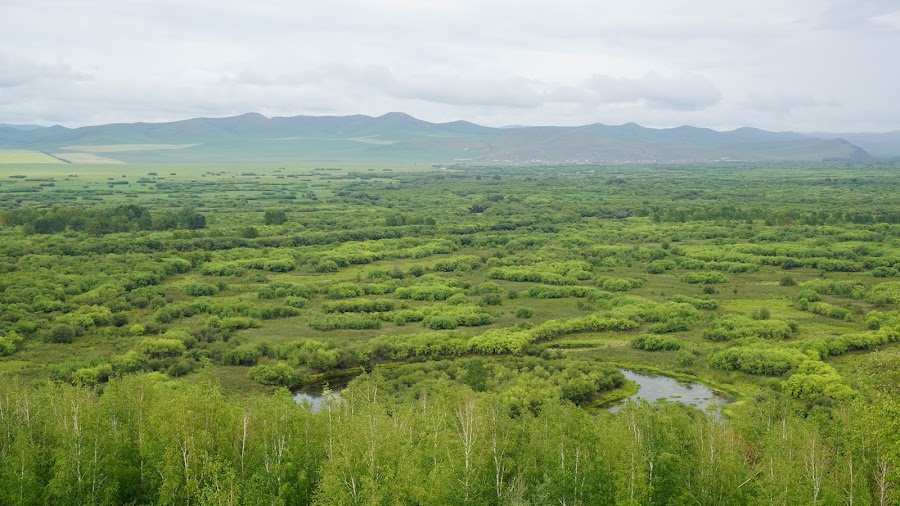 Ergun Wetland Scenic Area — Wetland — Arxan & Hulunbuir Grassland Loop — China