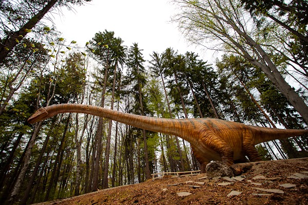 Dino Park