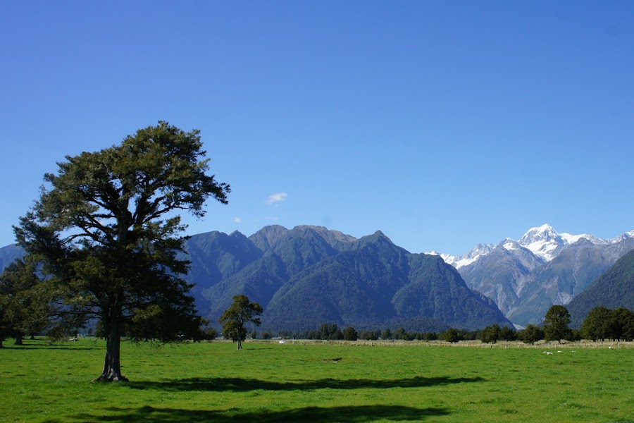Lake Matheson walk — Lake and forest walk — Southern Alps Highway — New Zealand