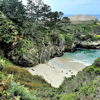 Point Lobos State Natural Reserve