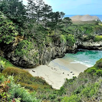 Point Lobos State Natural Reserve — Nature Reserve — Pacific Coast Hwy — United States