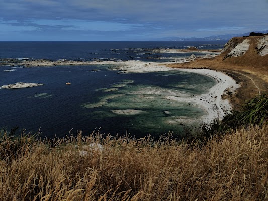 Kaikoura Peninsula Walkway